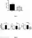 Fig. 10 - PROBIOTIC BIFIDOBACTERIUM STRAIN