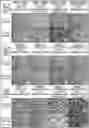 Fig. 01 - CELL POPULATION INCLUDING PLURIPOTENT STEM CELLS AND PRODUCTION METHOD THEREOF