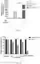 Fig. 05 - Method for constructing functional exosomes capable of efficiently loading specific miRNA
