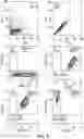 Fig. 11 - METHODS FOR ENRICHING POPULATIONS OF CELLS