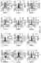 Fig. 13 - METHODS FOR ENRICHING POPULATIONS OF CELLS