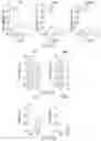 Fig. 06 - MODULATING CELL PROLIFERATION AND PLURIPOTENCY