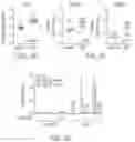 Fig. 08 - MODULATING CELL PROLIFERATION AND PLURIPOTENCY