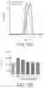 Fig. 17 - MODULATING CELL PROLIFERATION AND PLURIPOTENCY