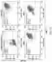 Fig. 45 - RPE CELL POPULATIONS AND METHODS OF GENERATING SAME