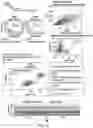 Fig. 05 - RPE CELL POPULATIONS AND METHODS OF GENERATING SAME