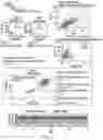 Fig. 08 - RPE CELL POPULATIONS AND METHODS OF GENERATING SAME