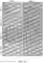 Fig. 12 - RPE CELL POPULATIONS AND METHODS OF GENERATING SAME