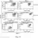 Fig. 18 - RPE CELL POPULATIONS AND METHODS OF GENERATING SAME