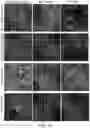 Fig. 19 - RPE CELL POPULATIONS AND METHODS OF GENERATING SAME