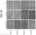 Fig. 44 - RPE CELL POPULATIONS AND METHODS OF GENERATING SAME