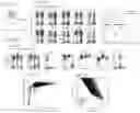 Fig. 13 - Assembly of functionally integrated human forebrain spheroids and methods of use thereof