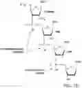 Fig. 03 - IMPROVED PROCESS FOR DNA INTEGRATION USING RNA-GUIDED ENDONUCLEASES