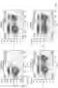 Fig. 11 - IMPROVED PROCESS FOR DNA INTEGRATION USING RNA-GUIDED ENDONUCLEASES
