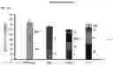 Fig. 05 - MULTI-RESPIRATORY VIRUS ANTIGEN-SPECIFIC T CELLS AND METHODS OF MAKING AND USING THE SAME THERAPEUTICALLY