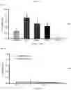 Fig. 08 - MULTI-RESPIRATORY VIRUS ANTIGEN-SPECIFIC T CELLS AND METHODS OF MAKING AND USING THE SAME THERAPEUTICALLY