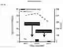 Fig. 13 - MULTI-RESPIRATORY VIRUS ANTIGEN-SPECIFIC T CELLS AND METHODS OF MAKING AND USING THE SAME THERAPEUTICALLY