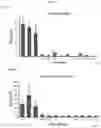 Fig. 16 - MULTI-RESPIRATORY VIRUS ANTIGEN-SPECIFIC T CELLS AND METHODS OF MAKING AND USING THE SAME THERAPEUTICALLY