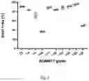 Fig. 02 - Gene-edited natural killer cells