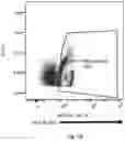 Fig. 07 - Gene-edited natural killer cells