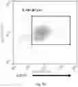 Fig. 10 - Gene-edited natural killer cells
