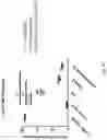 Fig. 26 - Gene-edited natural killer cells