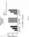 Fig. 56 - Gene-edited natural killer cells