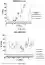 Fig. 64 - Gene-edited natural killer cells