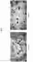 Fig. 03 - METHOD FOR PRODUCING CARDIOMYOCYTE