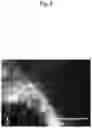 Fig. 04 - METHOD FOR PRODUCING CARDIOMYOCYTE