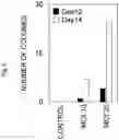 Fig. 05 - METHOD FOR PRODUCING CARDIOMYOCYTE