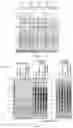 Fig. 02 - COMPOSITIONS AND METHODS TO MANUFACTURE TUMOR SUPPRESSOR FUSIONS