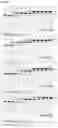 Fig. 04 - Cysteine protease