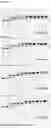 Fig. 05 - Cysteine protease