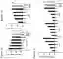 Fig. 08 - Nucleic acids for inhibiting expression of LPA in a cell