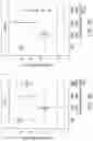 Fig. 07 - COMPOSITIONS AND METHODS FOR INHIBITING GENE EXPRESSION IN THE CENTRAL NERVOUS SYSTEM