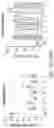 Fig. 35 - COMPOSITIONS AND METHODS FOR INHIBITING GENE EXPRESSION IN THE CENTRAL NERVOUS SYSTEM