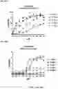 Fig. 37 - NOVEL INTERLEUKIN-2 VARIANTS AND BIFUNCTIONAL FUSION MOLECULES THEREOF