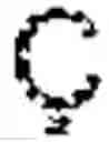 Fig. 02 - Mut- methylotrophic yeast