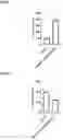 Fig. 02 - METHOD