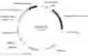Fig. 01 - METHOD FOR CULTIVATING PLANT RESISTANT TO GRAY LEAF SPOT