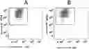 Fig. 01 - TRANSPOSON-BASED MODIFICATIONS OF IMMUNE CELLS