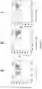 Fig. 06 - TRANSPOSON-BASED MODIFICATIONS OF IMMUNE CELLS