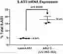 Fig. 01 - AUGMENTATIONS TO LENTIVIRAL VECTORS (CCLC-MGATA/ANK-CORE LCR-BETA-AS3-FB) TO INCREASE EXPRESSION
