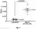 Fig. 08 - AUGMENTATIONS TO LENTIVIRAL VECTORS (CCLC-MGATA/ANK-CORE LCR-BETA-AS3-FB) TO INCREASE EXPRESSION