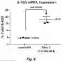 Fig. 10 - AUGMENTATIONS TO LENTIVIRAL VECTORS (CCLC-MGATA/ANK-CORE LCR-BETA-AS3-FB) TO INCREASE EXPRESSION