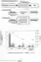 Fig. 06 - High gravity, fed-batch ionic liquid based process for deconstructing biomass
