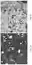 Fig. 07 - Processes for producing one or more fermentation products in a second fermentation