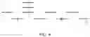 Fig. 05 - Olivetolic acid cyclase variants with improved activity for use in production of phytocannabinoids