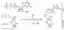 Fig. 01 - RNA CAPPING METHOD, PRODUCTION METHOD FOR MODIFIED RNA, AND MODIFIED RNA